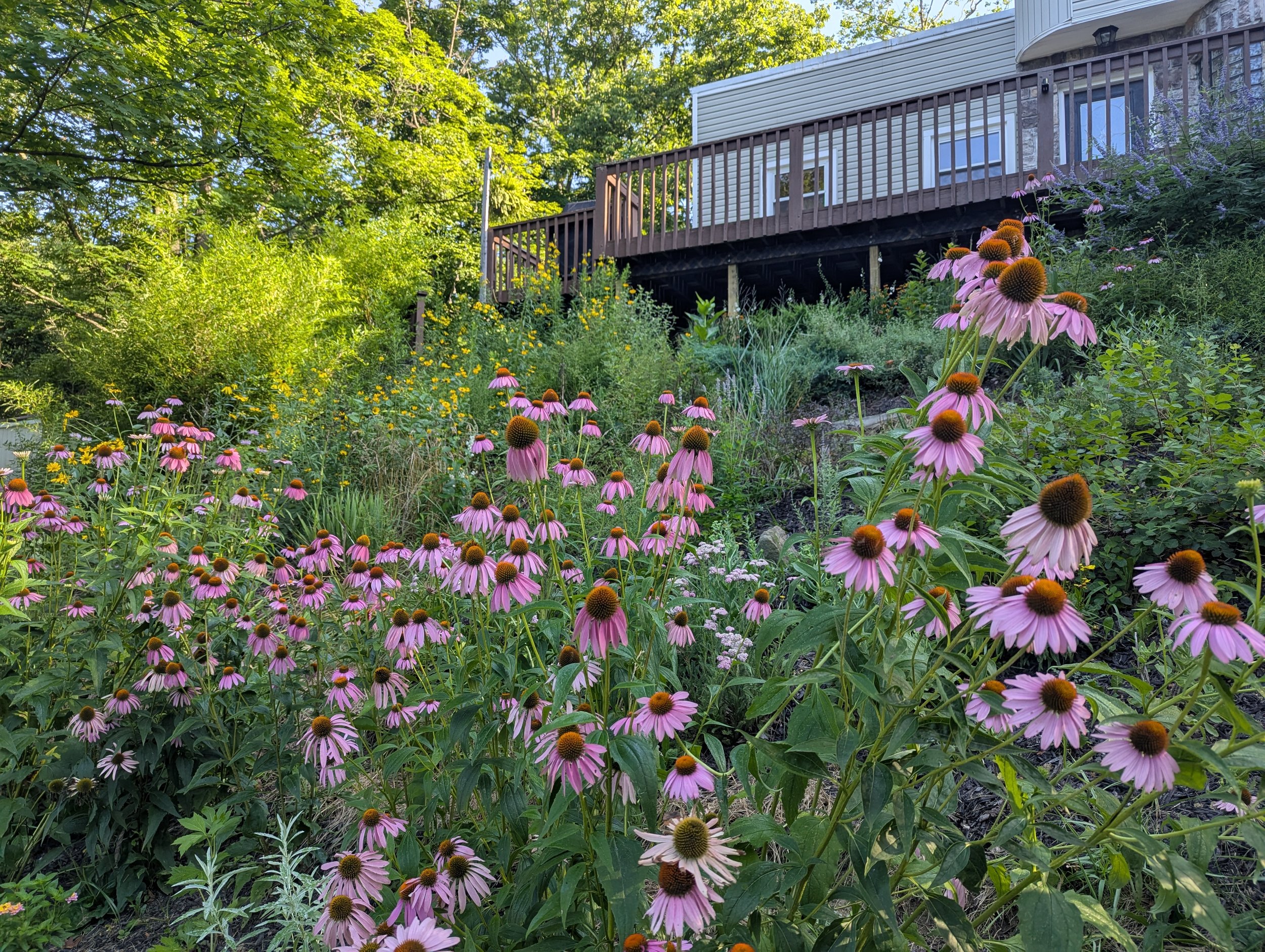 Fall Plant Sale — Civic Garden Center of Greater Cincinnati